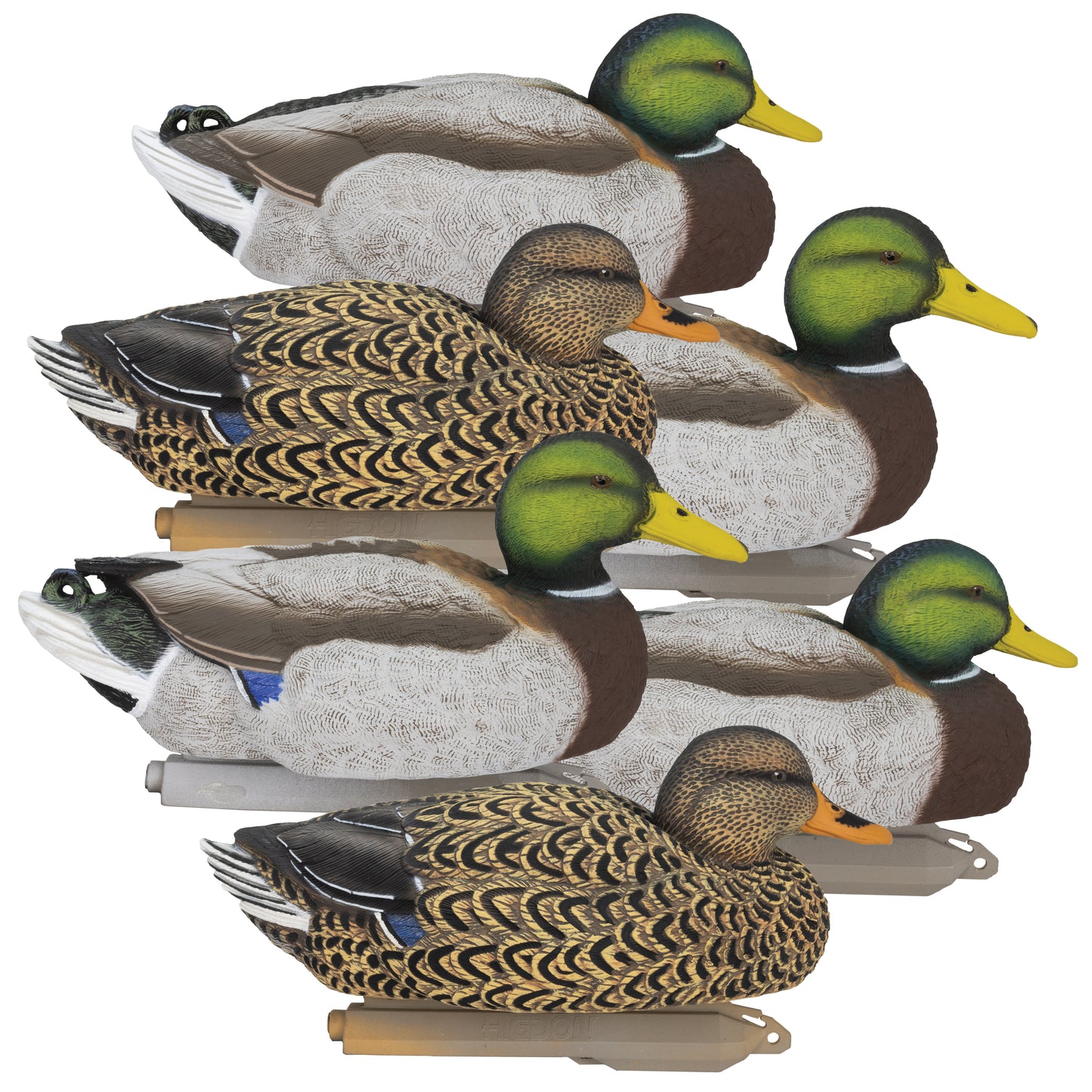 Legacy Magnum Mallard Foam Filled (6pk)