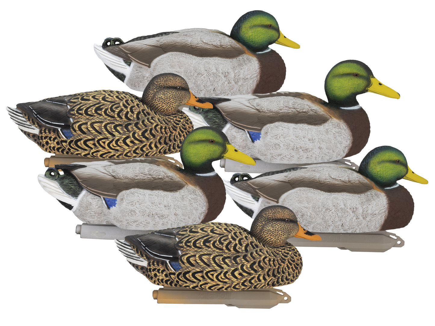 Legacy Magnum Mallard Foam Filled (6pk)
