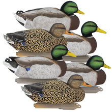 Legacy Magnum Mallard Foam Filled (6pk)