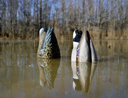 Magnum Duck Butt Mallard Foam Filled Drake & Hen (2pk)