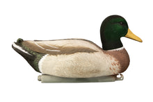 Magnum Mallard – 6 Pack