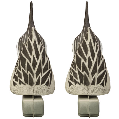 Magnum Duck Butt Pintail Foam Filled Drakes (2pk)