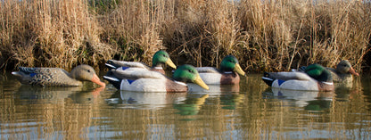 Full-Size Mallard (6pk)