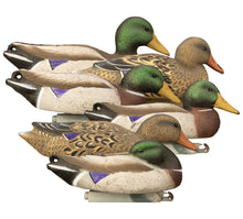 Full-Size Mallard (6pk)