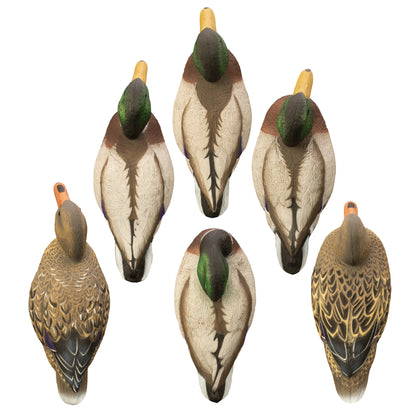 Full-Size Mallard (6pk)