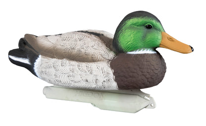 Standard Mallard Foam Filled (12pk)