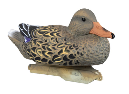 Standard Mallard Foam Filled (12pk)