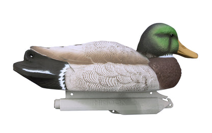 Standard Mallard (6pk)