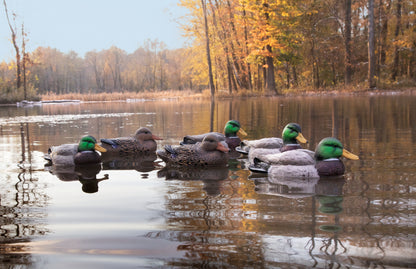 Standard Mallard Foam Filled (12pk)