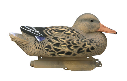 Standard Mallard Foam Filled (12pk)