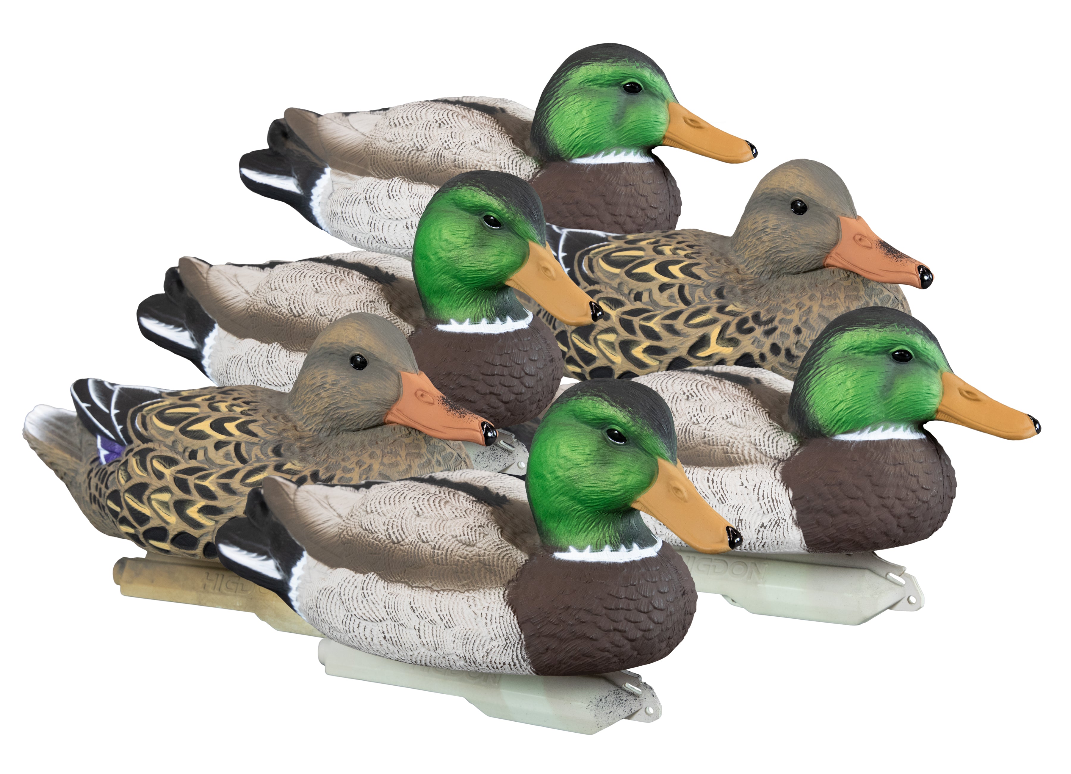 DAKOTA DECOY Collapsible PH Floating Mallard 6pk /20145 - View #8