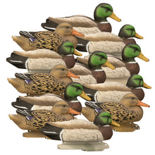 Standard Mallard Foam Filled (12pk)