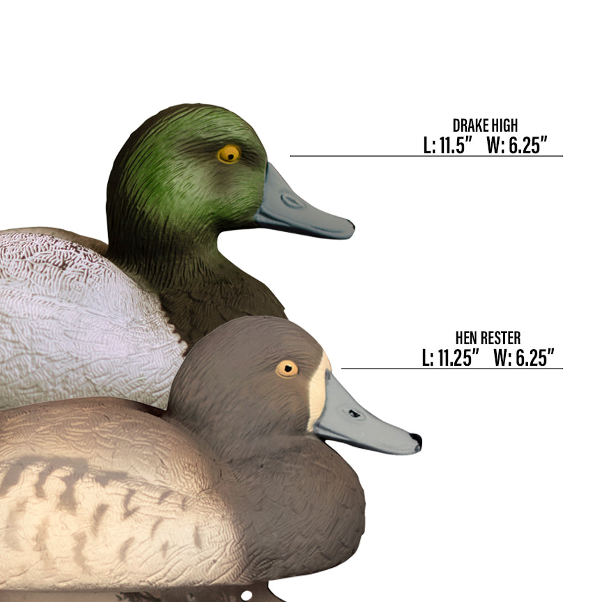 Standard Bluebill, Foam Filled