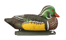 Standard Wood Duck (6pk)