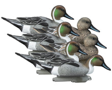 Standard Pintail Foam Filled (6pk)