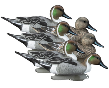 Standard Pintail Foam Filled (6pk)