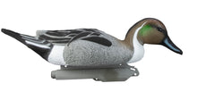 Standard Pintail Foam Filled (6pk)