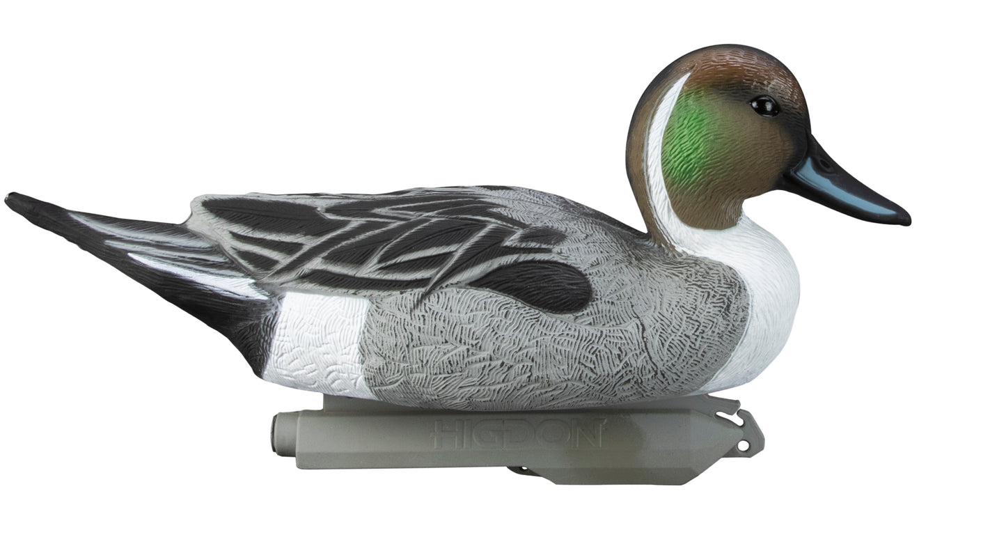 Standard Pintail Foam Filled (6pk)