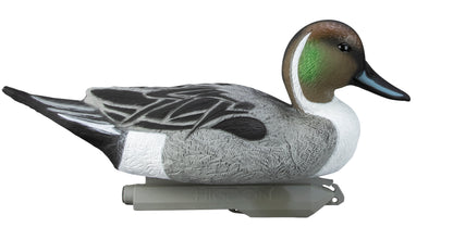 Standard Pintail Foam Filled (6pk)