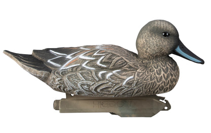 Standard Pintail Foam Filled (6pk)