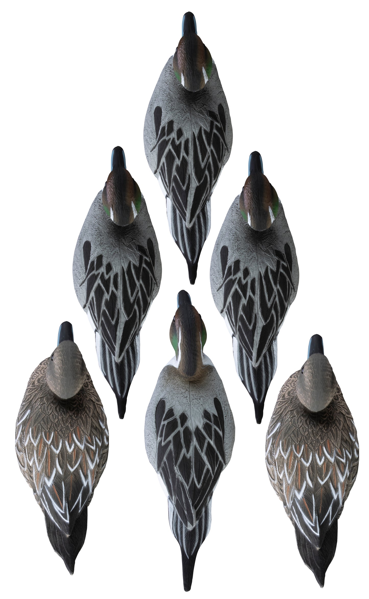 Standard Pintail Foam Filled (6pk)