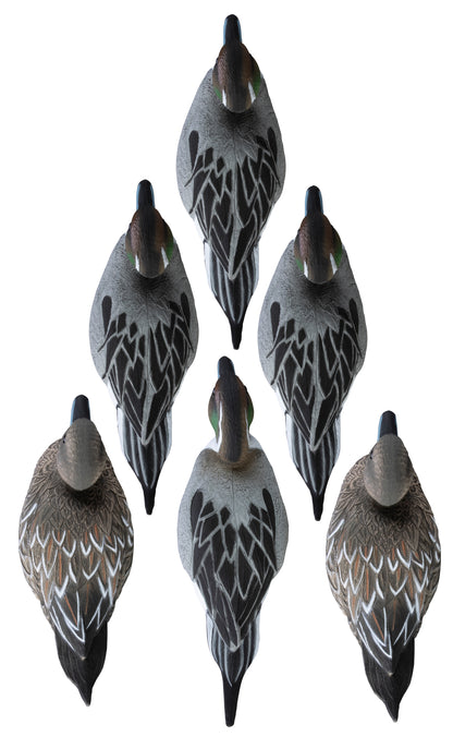 Standard Pintail Foam Filled (6pk)