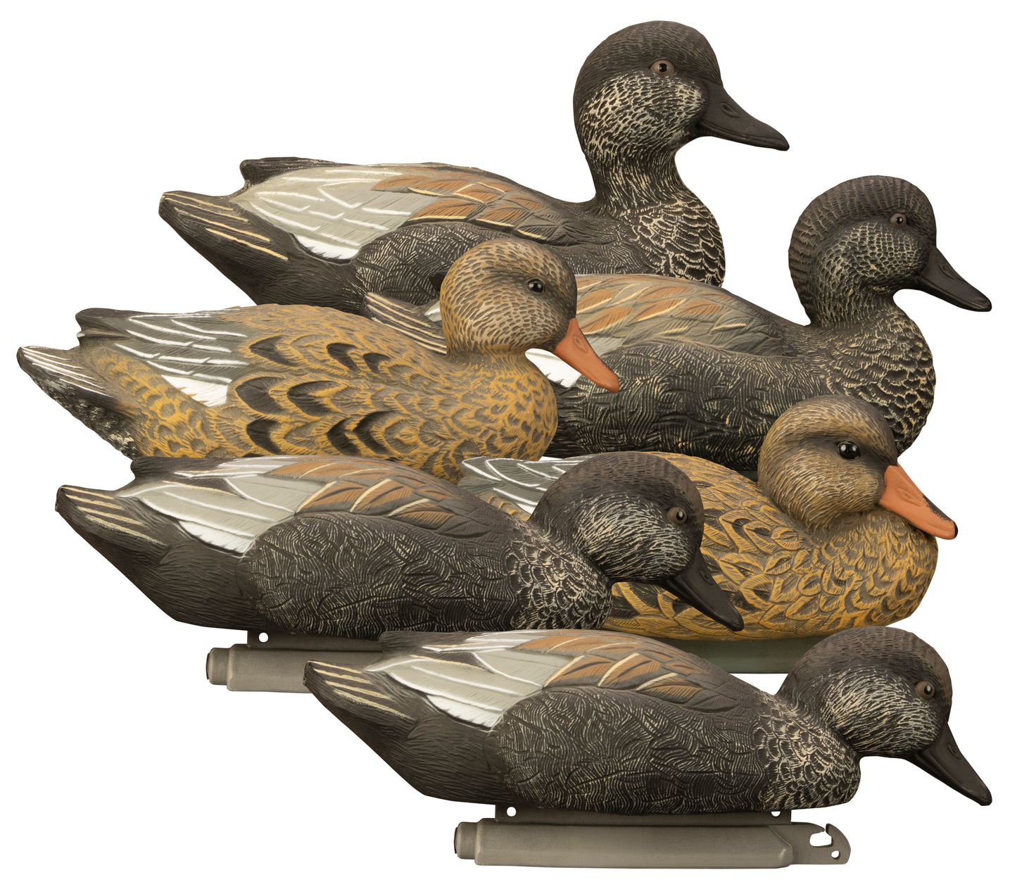 Standard Gadwall Foam Filled (6pk)