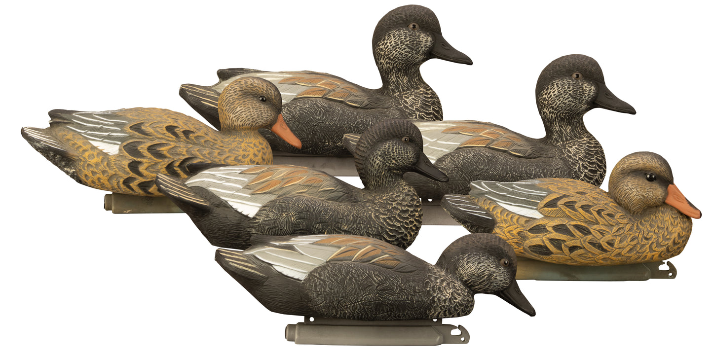 Standard Gadwall Foam Filled (6pk)