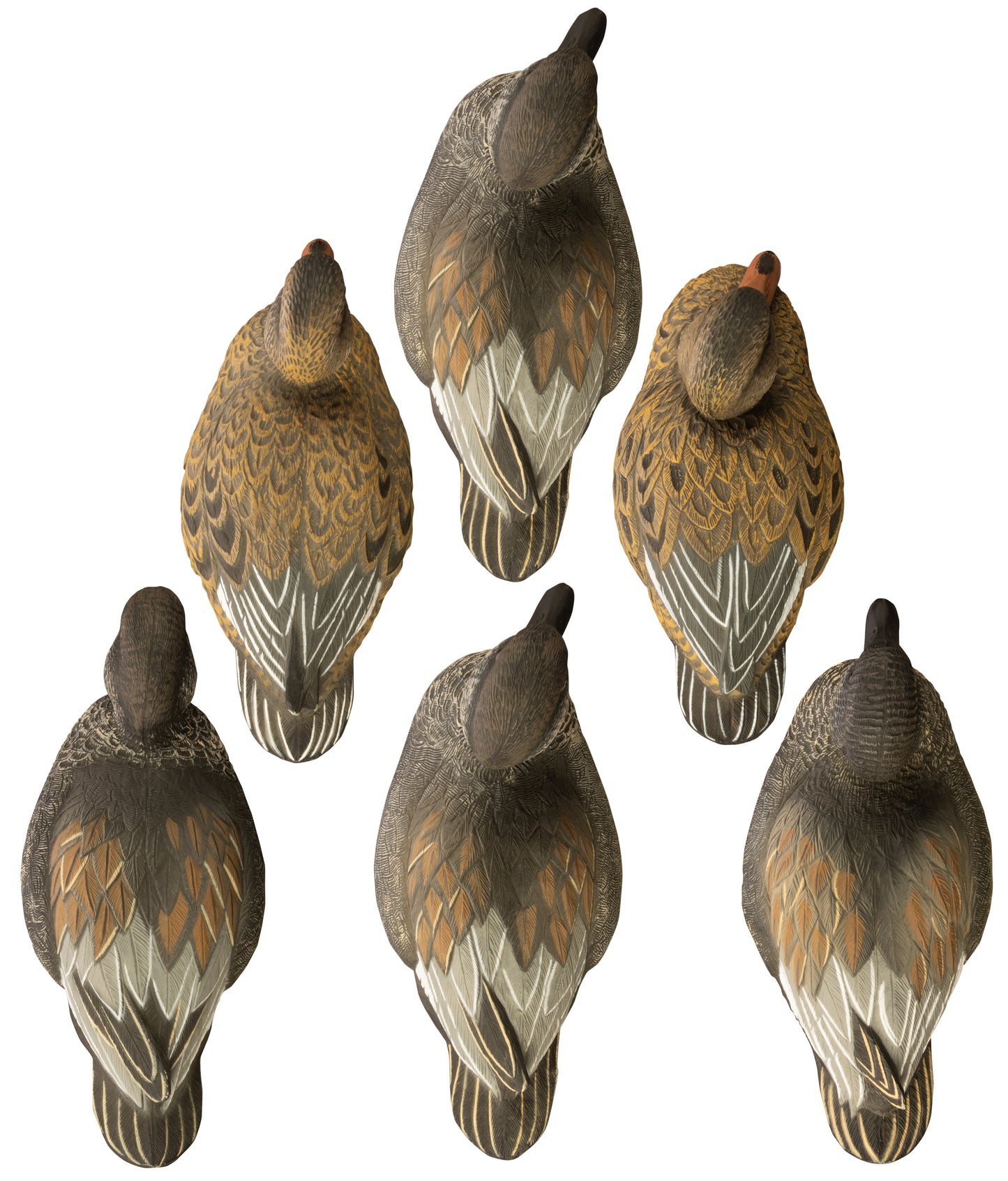Standard Gadwall Foam Filled (6pk)