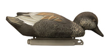 Standard Gadwall Foam Filled (6pk)
