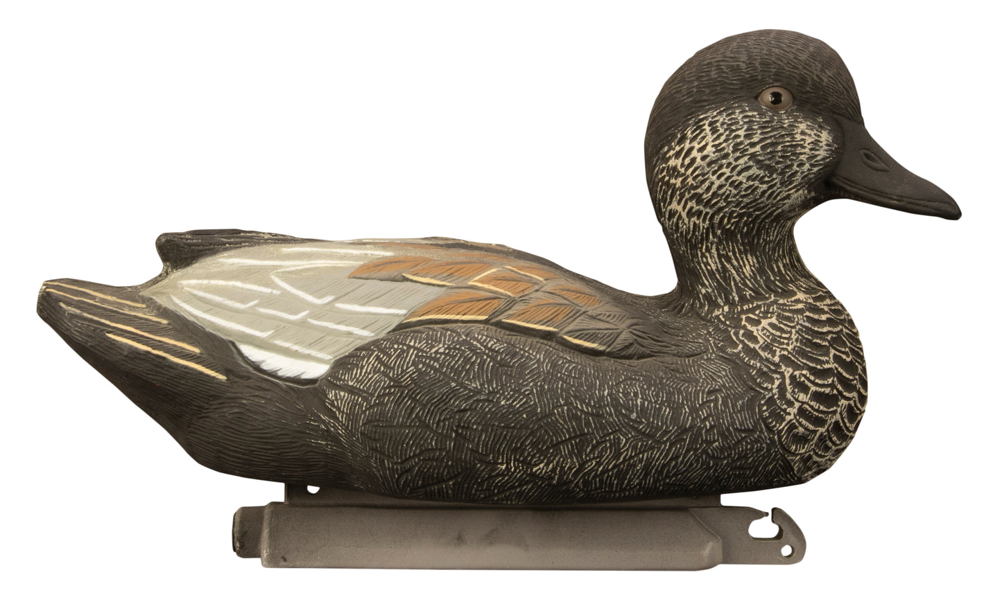 Standard Gadwall Foam Filled (6pk)