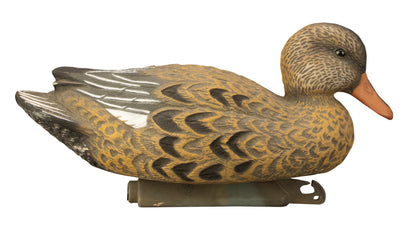 Standard Gadwall Foam Filled (6pk)