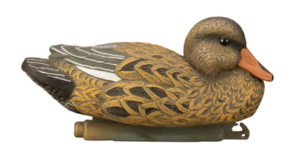 Standard Gadwall Foam Filled (6pk)