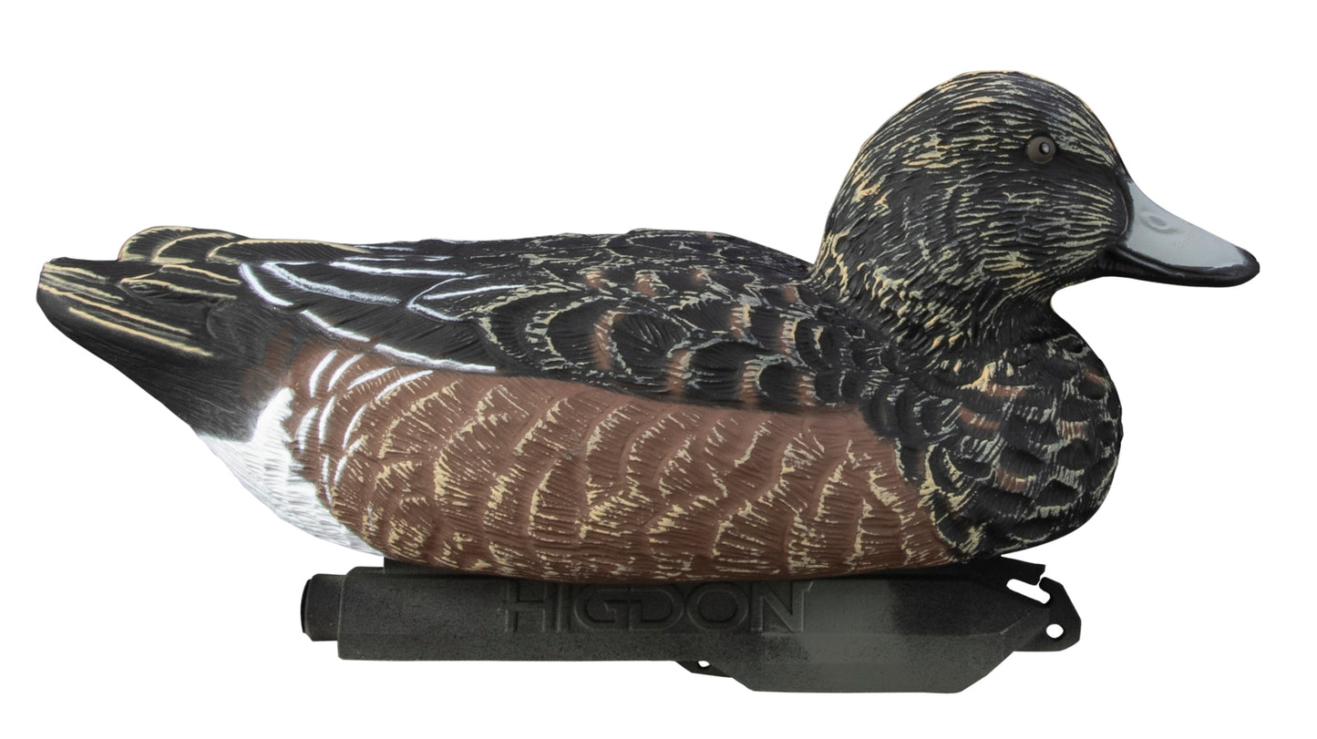 Standard Widgeon Foam Filled (6pk)