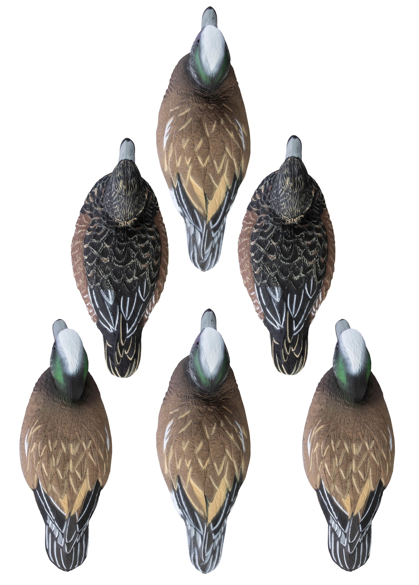 Standard Widgeon Foam Filled (6pk)