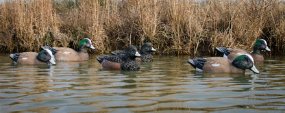 Standard Widgeon Foam Filled (6pk)