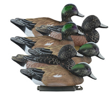 Standard Widgeon Foam Filled (6pk)