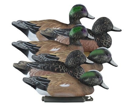 Standard Widgeon Foam Filled (6pk)