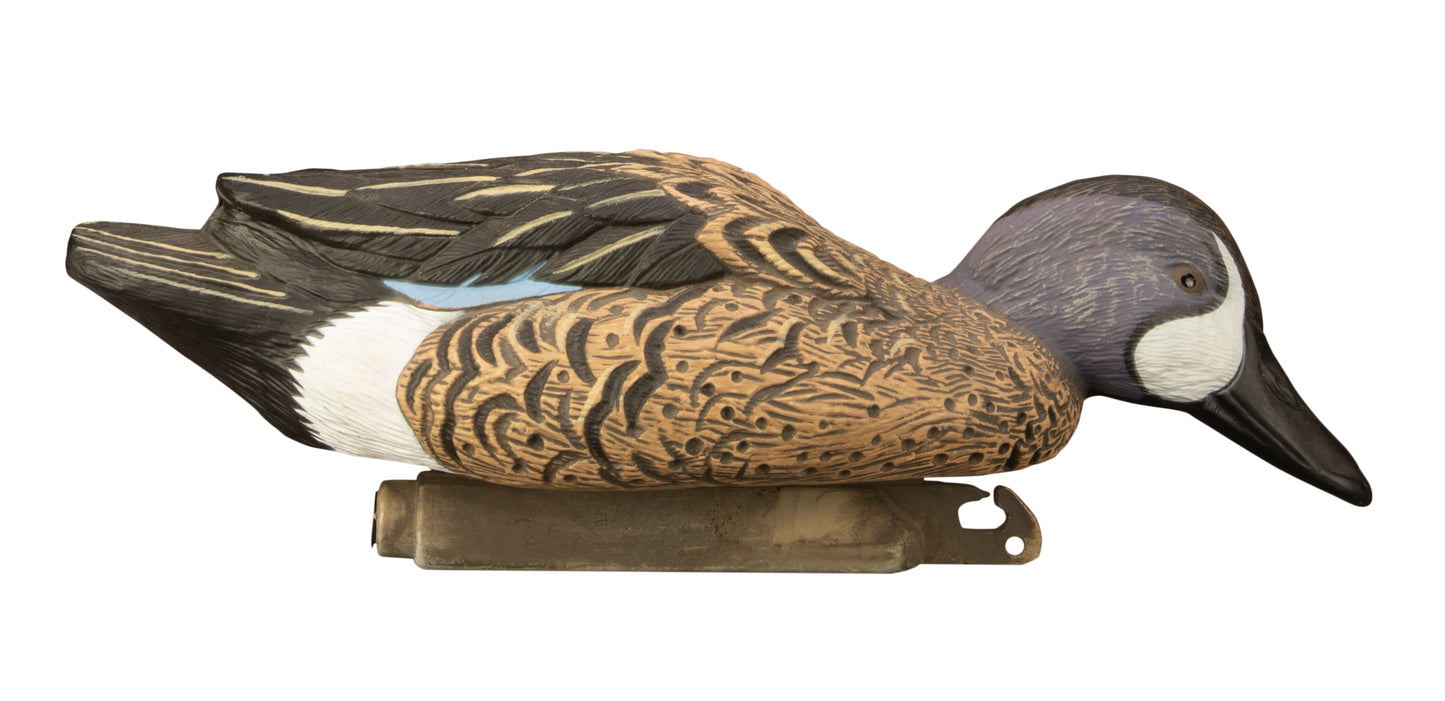 Standard Blue Wing Teal, Foam Filled