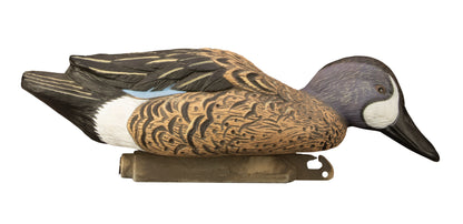 Standard Blue Wing Teal, Foam Filled