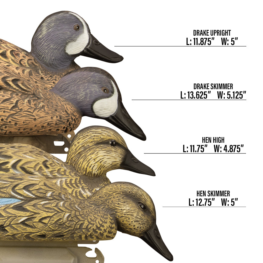 Standard Blue Wing Teal, Foam Filled