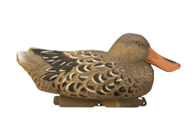 Standard Shoveler (6pk)