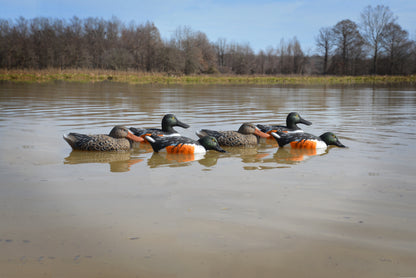 Standard Shoveler (6pk)