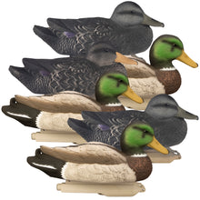 Standard Powers' Pack Foam Fill 3 Mal Drakes, 3 Black Ducks (6pk)
