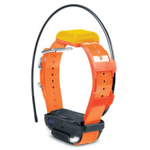 Pathfinder 2 Tracking Only Collar