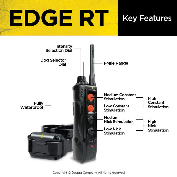EDGE RT Expandable Dog Remote Trainer
