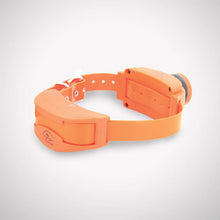 UplandHunter A Series Add-A-Dog Collar