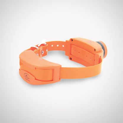UplandHunter A Series Add-A-Dog Collar