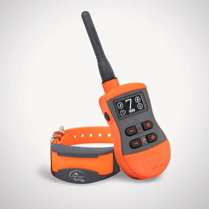 SportTrainer 875