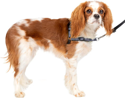 Deluxe Easy Walk